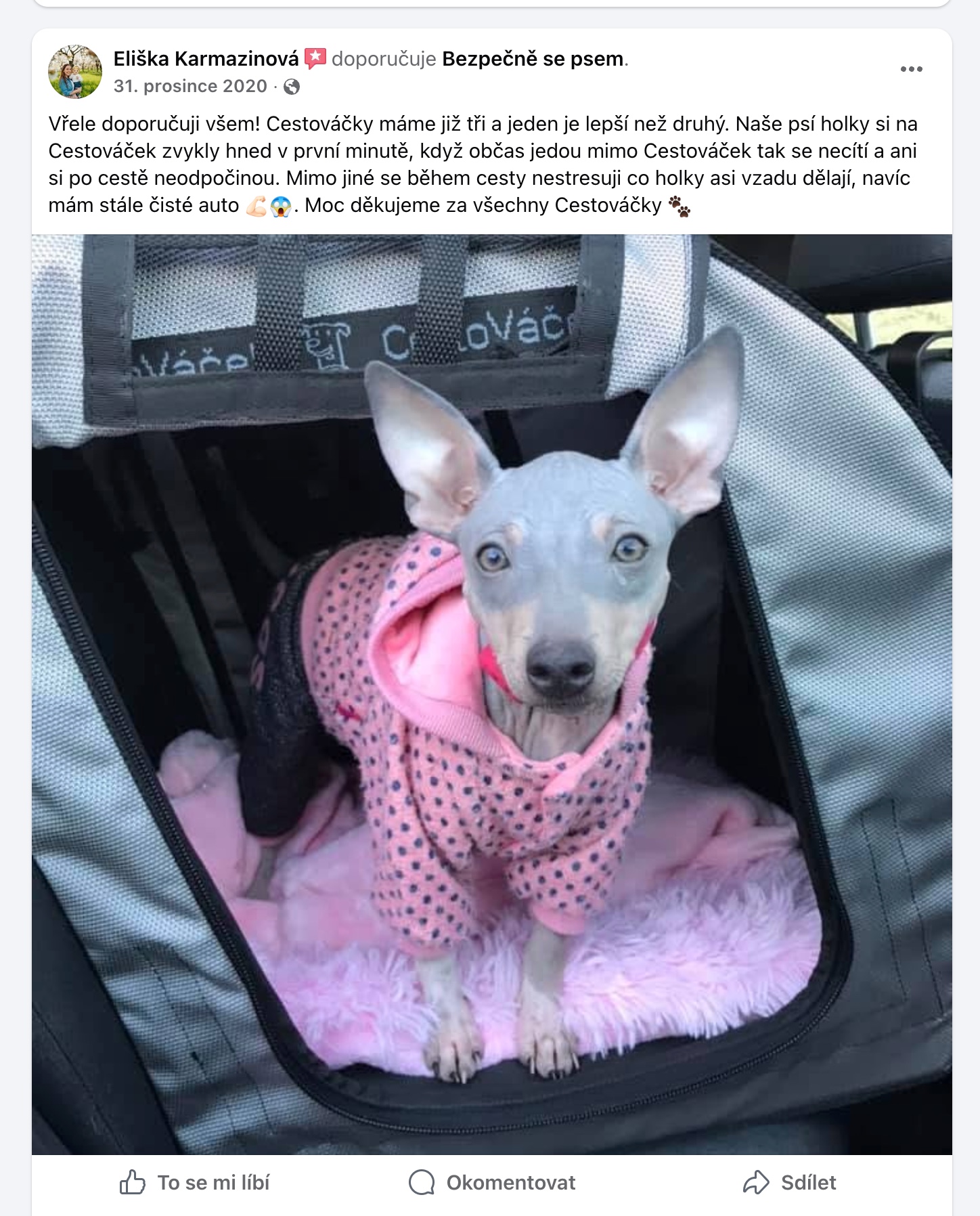 Recenze na Facebooku s fotkou bezsrstého psa v CestoVáčku, majitelka má čisté auto
