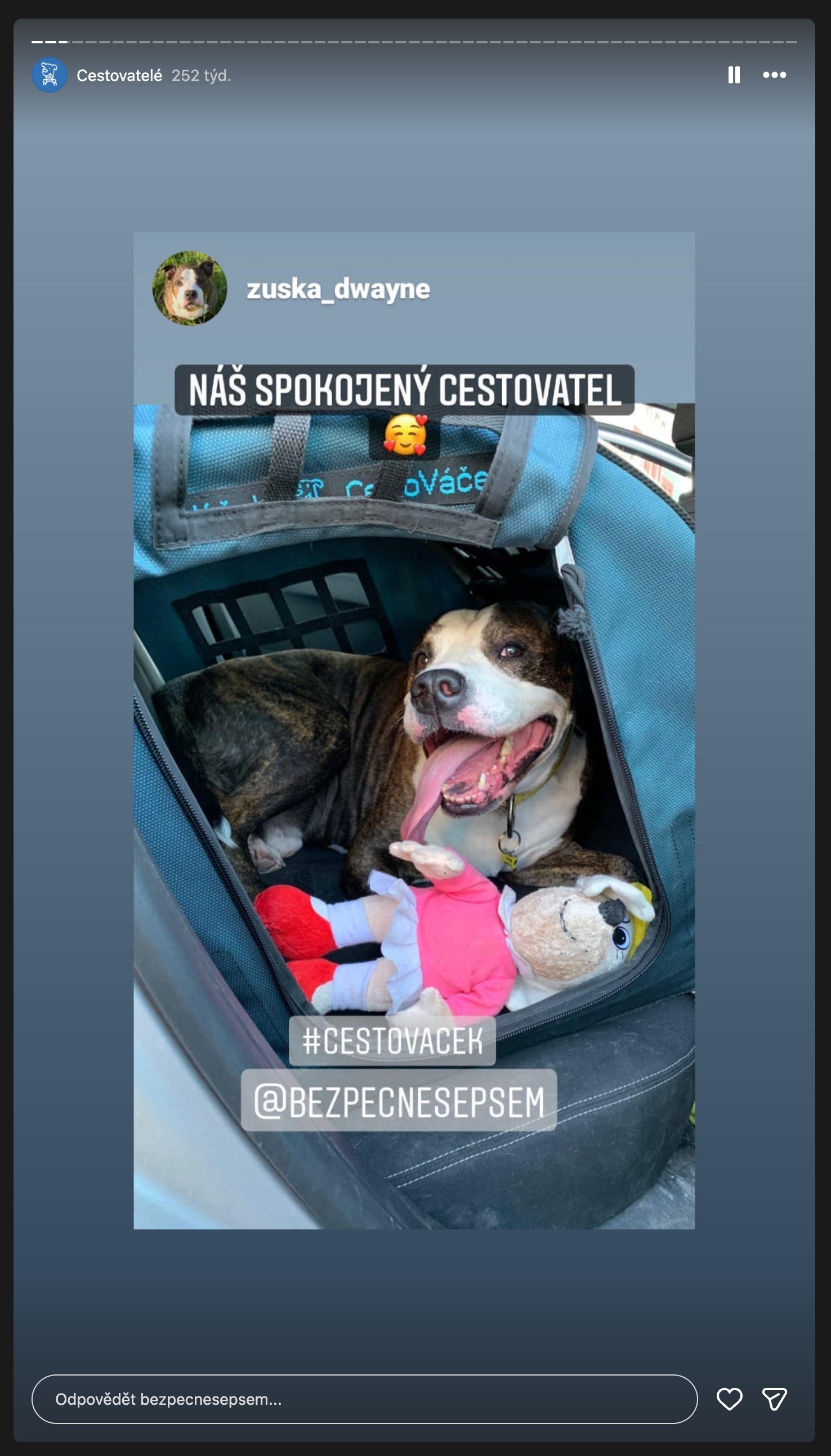 Instagram: spokojený cestovatel, pes leží v modrém CestoVáčku