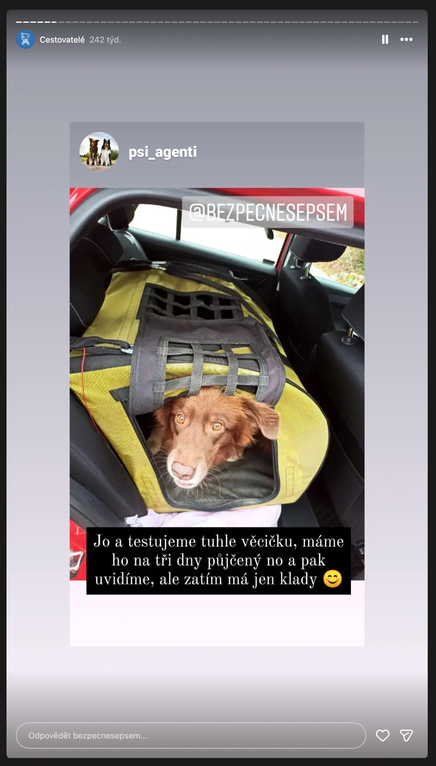 Instagram: pes na testu boxu, zatím má jen klady