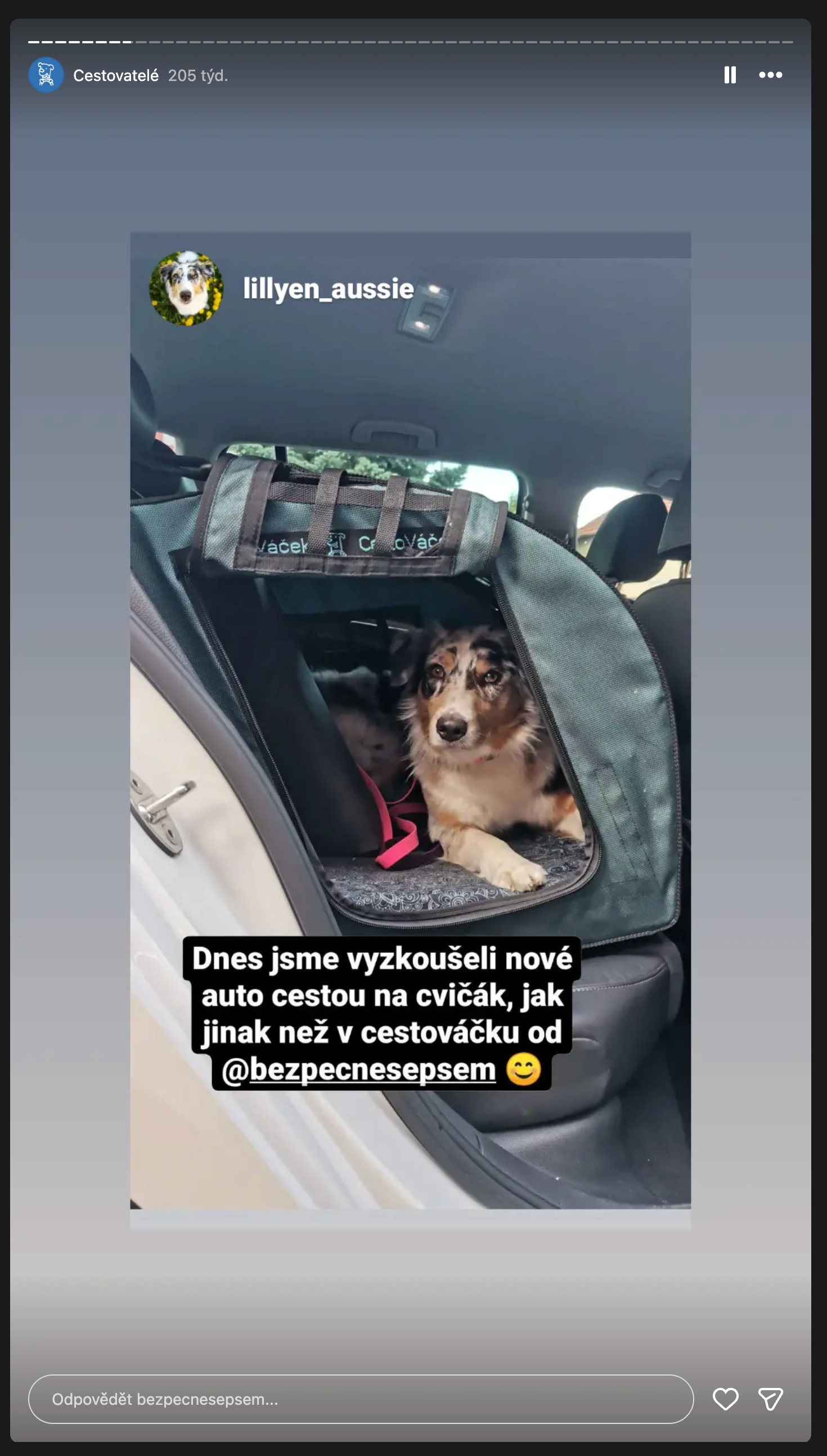 Instagram: nové auto cestou na cvičák, pes v CestoVáčku