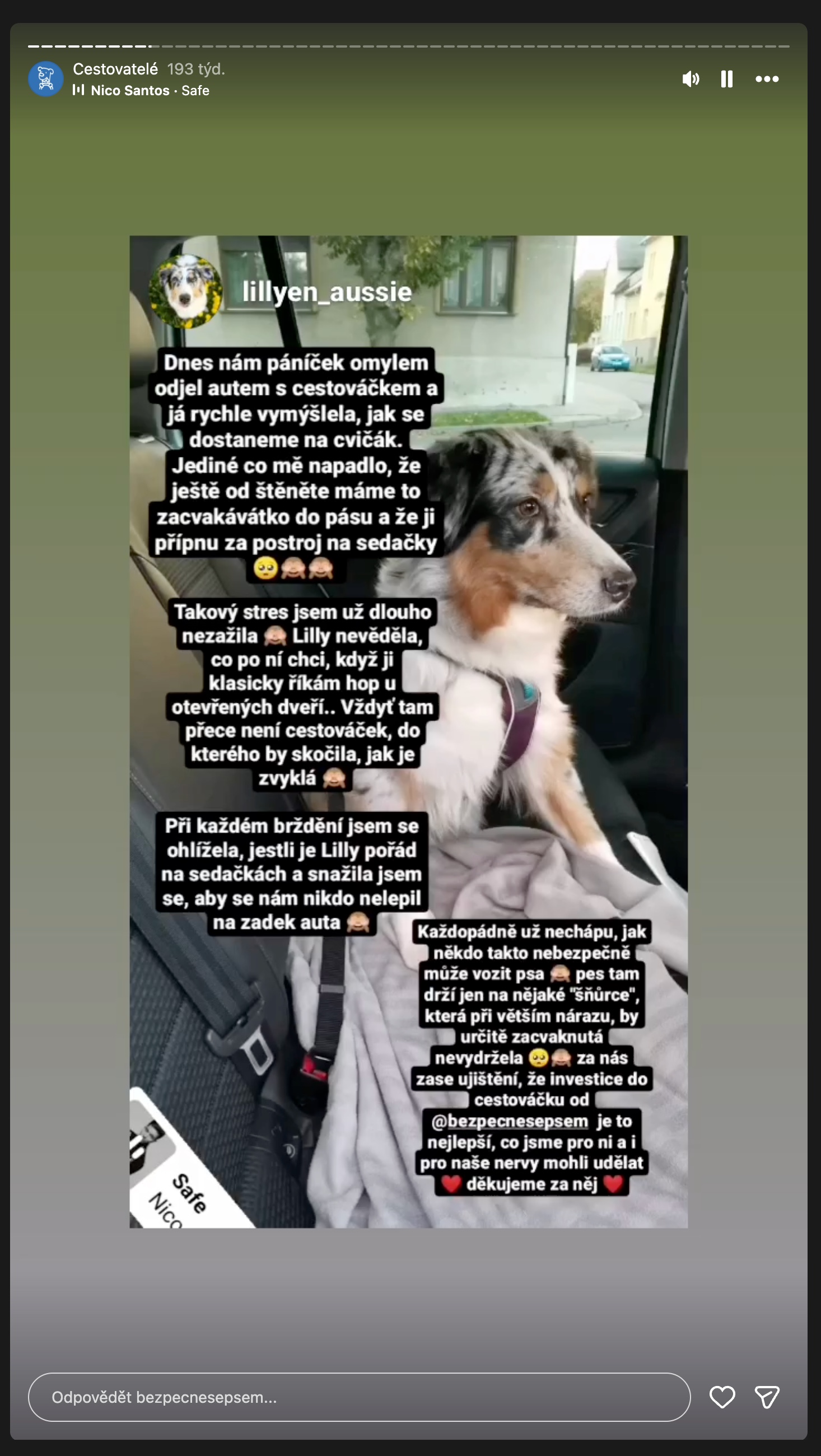Instagram: majitelka vozila psa jen na postroji a byl to stres, oproti bezpečí v CestoVáčku